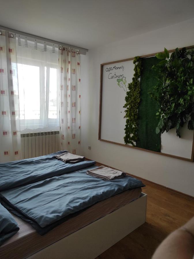 Apartamenty Centrum 瓦乌布日赫 外观 照片